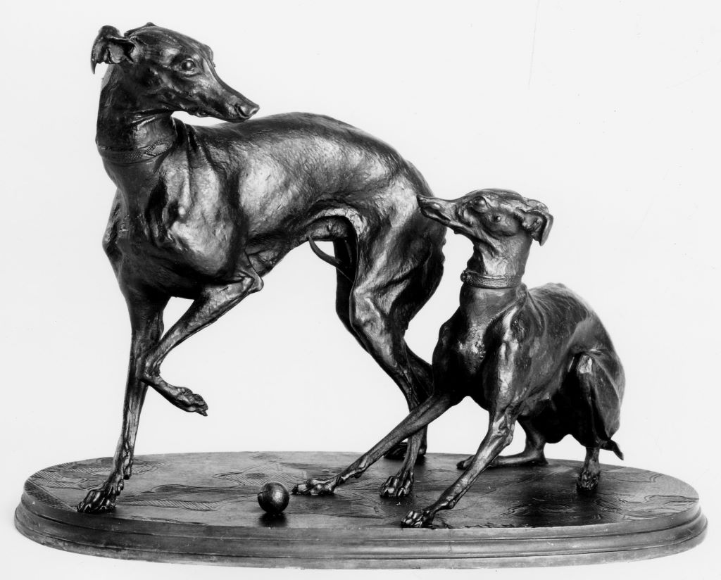 Two greyhounds with ball