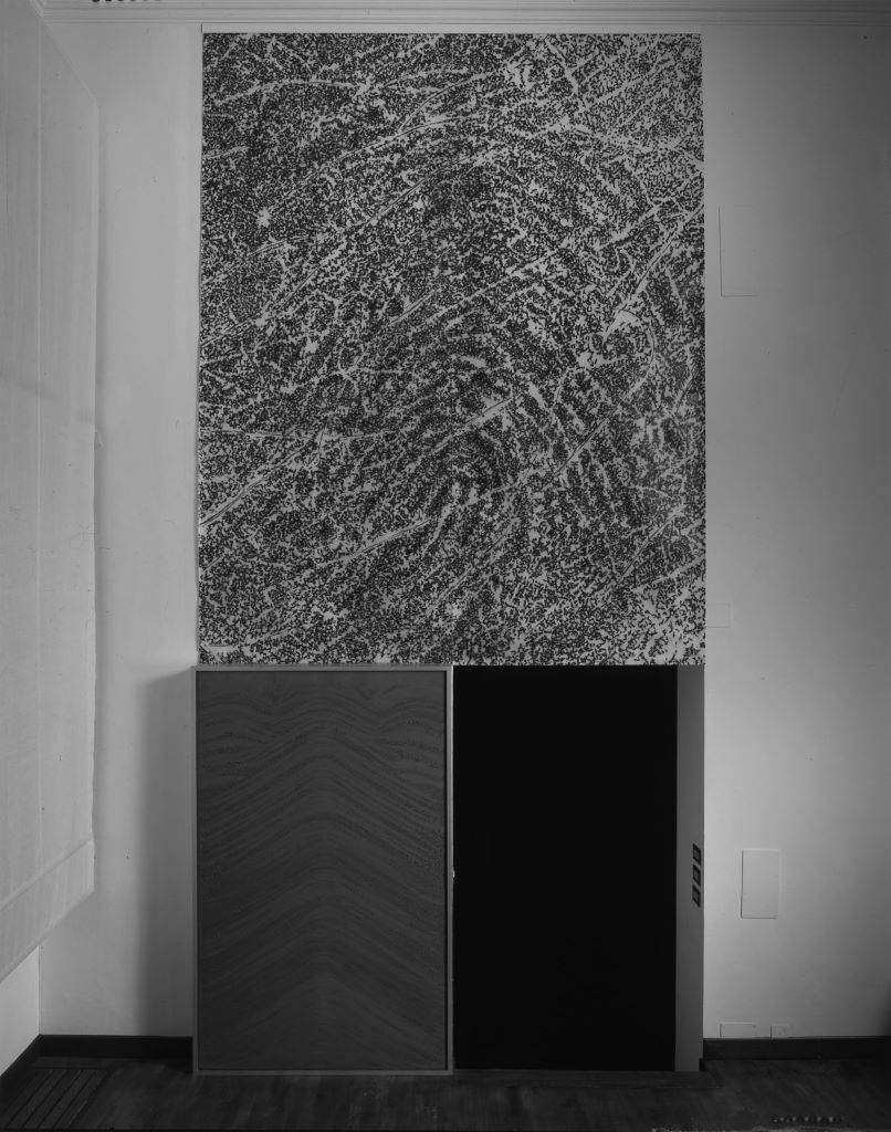 Geologia n. 1 by PENONE Giuseppe